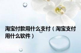 淘宝付款用什么支付（淘宝支付用什么软件）