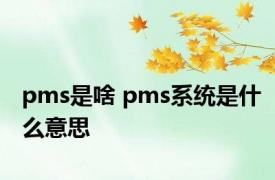 pms是啥 pms系统是什么意思