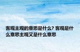 客观主观的意思是什么? 客观是什么意思主观又是什么意思