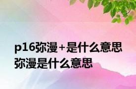 p16弥漫+是什么意思 弥漫是什么意思 