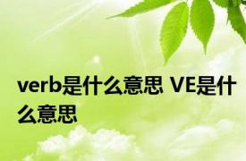 verb是什么意思 VE是什么意思