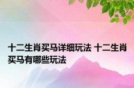 十二生肖买马详细玩法 十二生肖买马有哪些玩法 