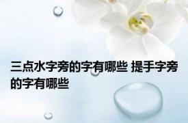 三点水字旁的字有哪些 提手字旁的字有哪些 