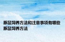 豚鼠饲养方法和注意事项有哪些 豚鼠饲养方法