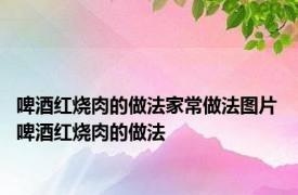 啤酒红烧肉的做法家常做法图片 啤酒红烧肉的做法