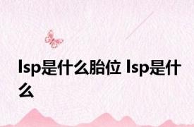 lsp是什么胎位 lsp是什么 