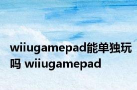 wiiugamepad能单独玩吗 wiiugamepad 