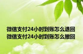 微信支付24小时到账怎么退回 微信支付24小时到账怎么撤回