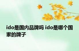 ido是国内品牌吗 ido是哪个国家的牌子 