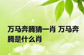 万马奔腾猜一肖 万马奔腾是什么肖