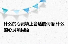 什么的心灵填上合适的词语 什么的心灵填词语 