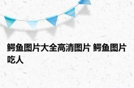 鳄鱼图片大全高清图片 鳄鱼图片吃人 