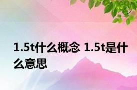 1.5t什么概念 1.5t是什么意思