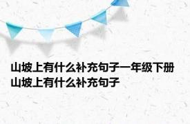 山坡上有什么补充句子一年级下册 山坡上有什么补充句子 