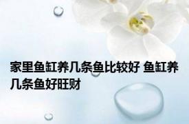 家里鱼缸养几条鱼比较好 鱼缸养几条鱼好旺财