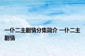 一仆二主剧情分集简介 一仆二主剧情 