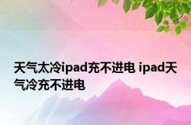 天气太冷ipad充不进电 ipad天气冷充不进电 