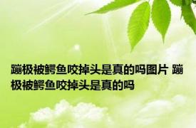 蹦极被鳄鱼咬掉头是真的吗图片 蹦极被鳄鱼咬掉头是真的吗