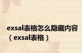 exsal表格怎么隐藏内容（exsal表格）