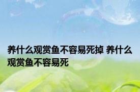 养什么观赏鱼不容易死掉 养什么观赏鱼不容易死