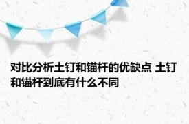 对比分析土钉和锚杆的优缺点 土钉和锚杆到底有什么不同