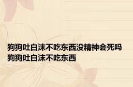 狗狗吐白沫不吃东西没精神会死吗 狗狗吐白沫不吃东西 