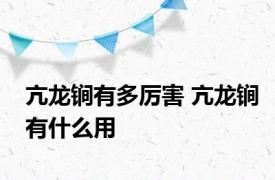 亢龙锏有多厉害 亢龙锏有什么用