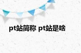 pt站简称 pt站是啥