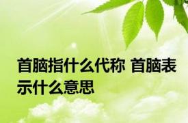 首脑指什么代称 首脑表示什么意思