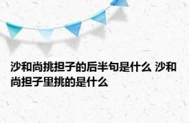 沙和尚挑担子的后半句是什么 沙和尚担子里挑的是什么 