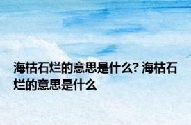 海枯石烂的意思是什么? 海枯石烂的意思是什么