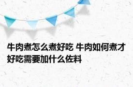 牛肉煮怎么煮好吃 牛肉如何煮才好吃需要加什么佐料