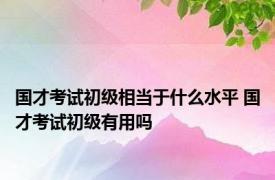 国才考试初级相当于什么水平 国才考试初级有用吗 