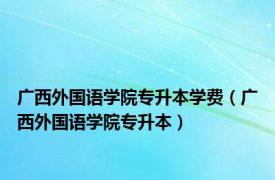 广西外国语学院专升本学费（广西外国语学院专升本）