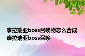 泰拉瑞亚boss召唤物怎么合成 泰拉瑞亚boss召唤 