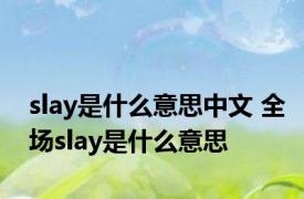 slay是什么意思中文 全场slay是什么意思