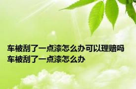 车被刮了一点漆怎么办可以理赔吗 车被刮了一点漆怎么办 