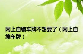 网上自编车牌不想要了（网上自编车牌）