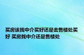 买房该找中介买好还是去售楼处买好 买房找中介还是售楼处 