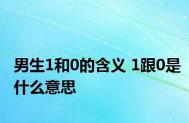 男生1和0的含义 1跟0是什么意思