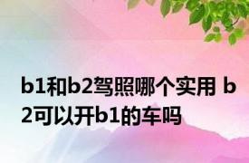 b1和b2驾照哪个实用 b2可以开b1的车吗