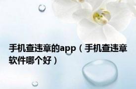 手机查违章的app（手机查违章软件哪个好）