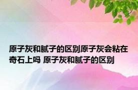 原子灰和腻子的区别原子灰会粘在奇石上吗 原子灰和腻子的区别 