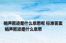 销声匿迹是什么意思呢 标准答案 销声匿迹是什么意思 