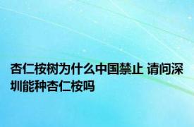 杏仁桉树为什么中国禁止 请问深圳能种杏仁桉吗