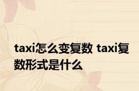 taxi怎么变复数 taxi复数形式是什么