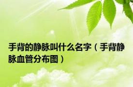 手背的静脉叫什么名字（手背静脉血管分布图）