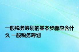 一般税务筹划的基本步骤应含什么 一般税务筹划 