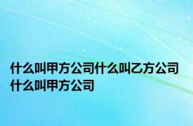 什么叫甲方公司什么叫乙方公司 什么叫甲方公司