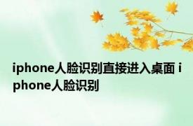 iphone人脸识别直接进入桌面 iphone人脸识别 